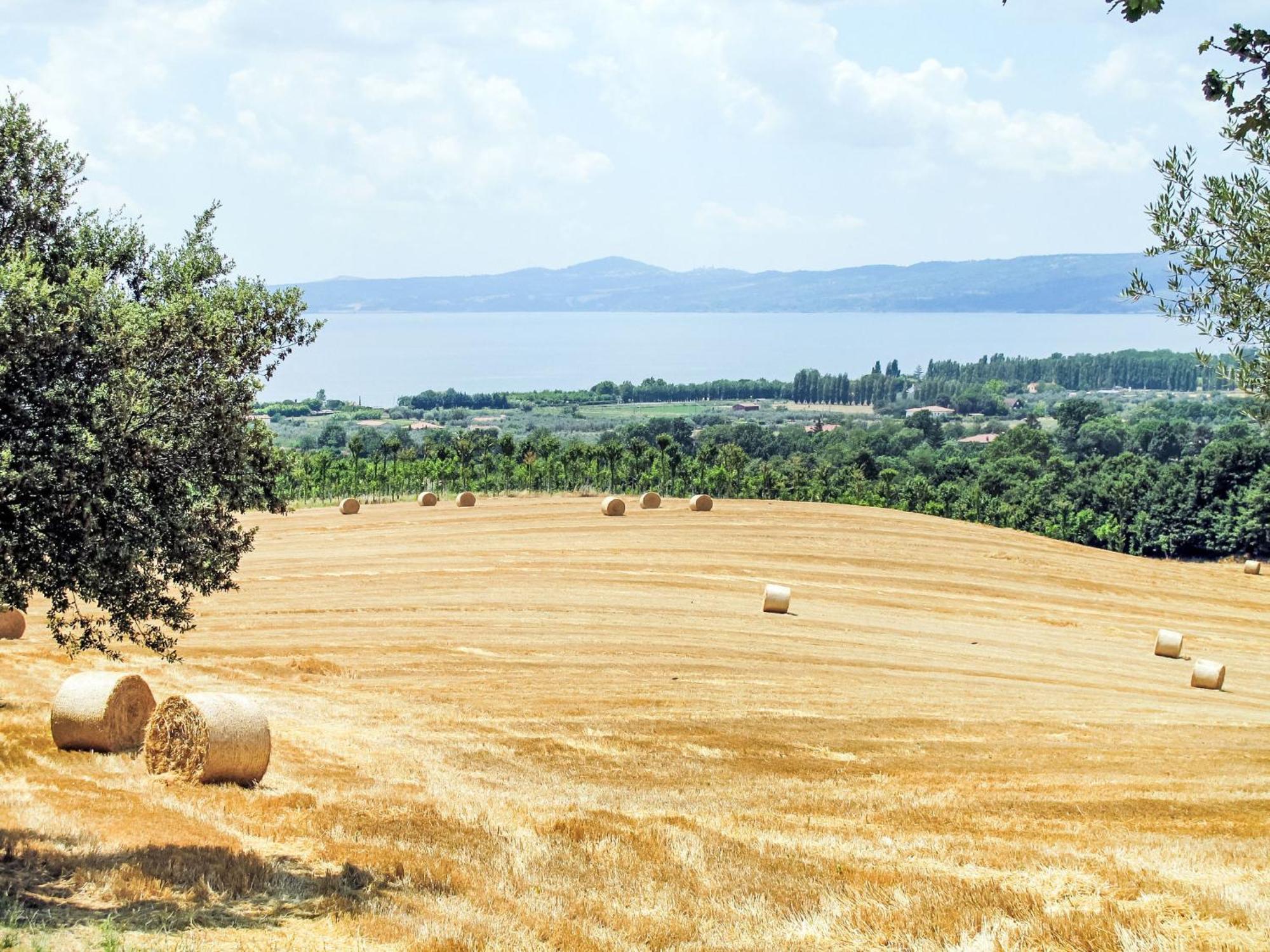 Holiday Home Chalet Del Lago By Interhome Bolsena Luaran gambar